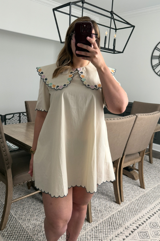 Embroidered Collar Mini Dress