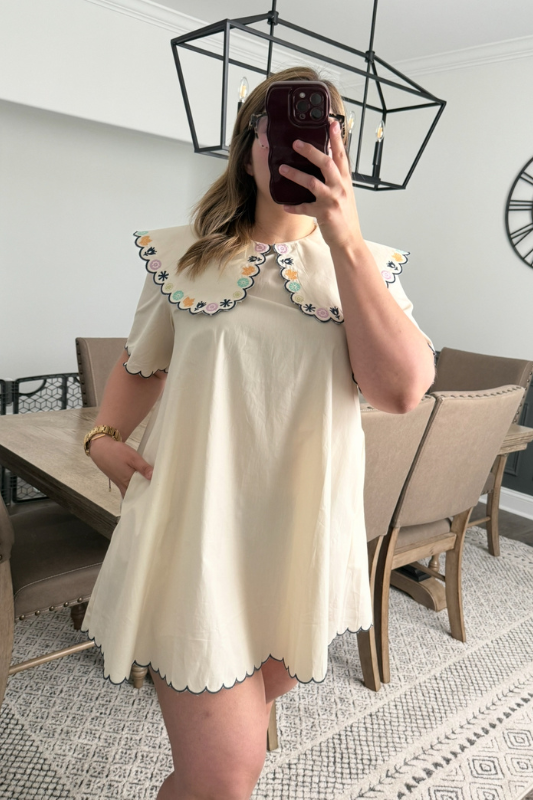 Embroidered Collar Mini Dress